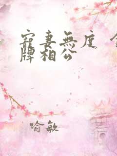 宠妻无度  金牌相公