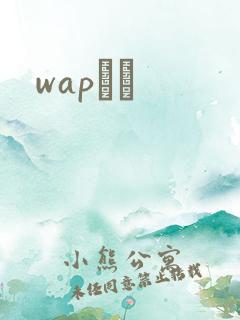 wapС˵