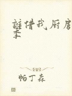 谁借我厨房第三季