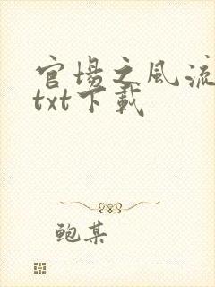 官场之风流人生txt下载