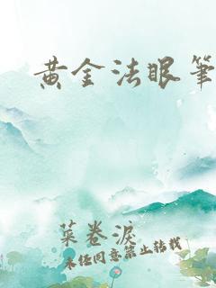 黄金法眼笔趣阁
