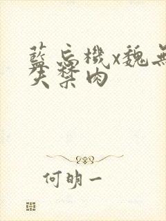 蓝忘机x魏无羡失禁肉