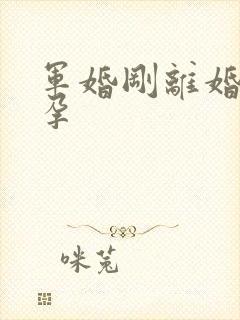 军婚刚离婚就怀孕