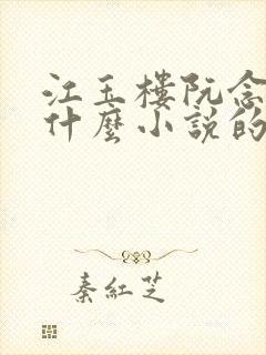 江玉楼阮念笙是什么小说的名字