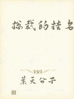 总裁的挂名娇妻