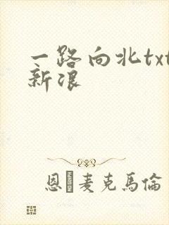一路向北txt新浪