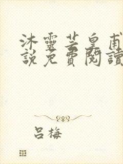 沐灵芸皇甫霆小说免费阅读