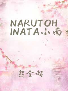 NARUTOHINATA小南本子