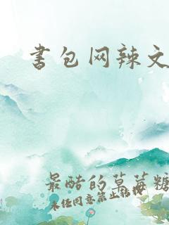 书包网辣文