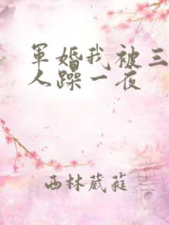 军婚我被三个男人躁一夜