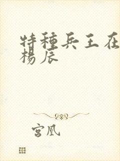 特种兵王在都市杨辰