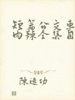 短篇公交车高h肉辣全集目录