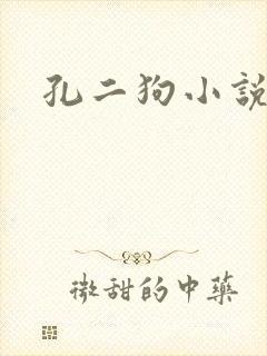 孔二狗小说