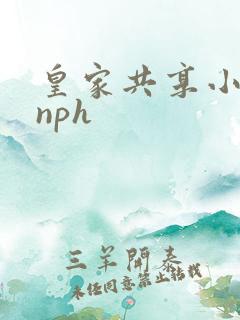 皇家共享小公主nph