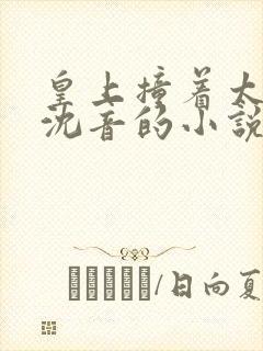 皇上撞着太子妃沈音的小说叫什么