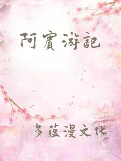 阿宾游记