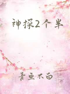神探2个半