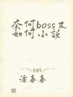 奈何boss又如何小说