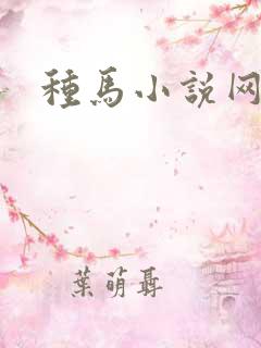 种马小说网