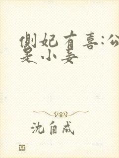 侧妃有喜:公主是小妾