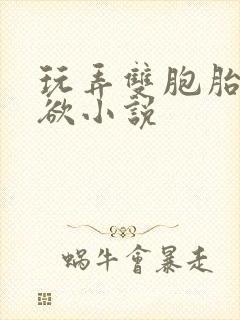 玩弄双胞胎的肉欲小说