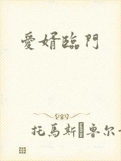 爱婿临门