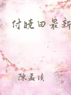 付晓田最新消息