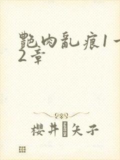 艳肉乱痕1一12章