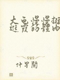 大龟慢慢挺进王进霞的体内