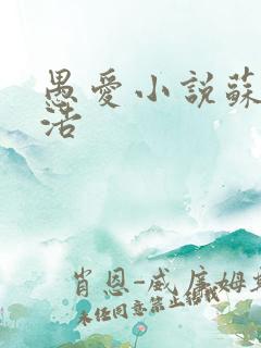 愚爱小说苏倩孙浩