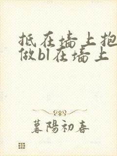 抵在墙上抱起来做bl在墙上