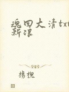 魂回大清txt新浪