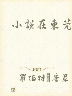 小说在东莞