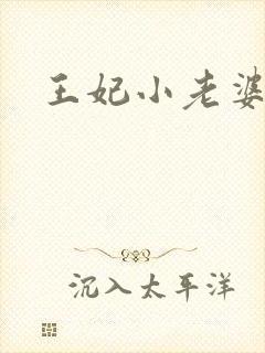 王妃小老婆