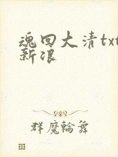魂回大清txt新浪