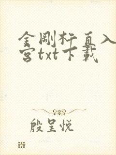 金刚杵直入莲花宫txt下载