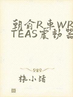 朝俞R车WRITEAS震动器