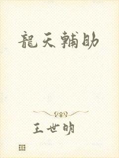 龙天辅助