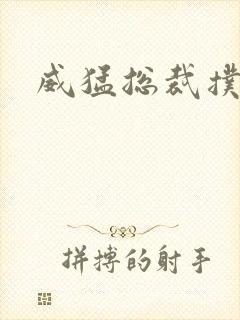 威猛总裁扑娇妻