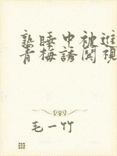 熟睡中被进了H青梅诱哄视频