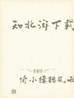 知北游下载