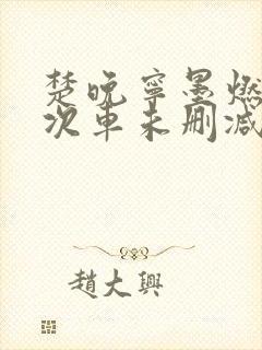 楚晚宁墨燃第一次车未删减