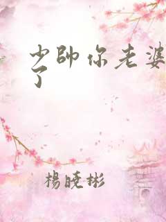 少帅你老婆又跑了