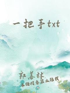 一把手txt