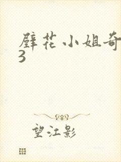 壁花小姐奇遇记3