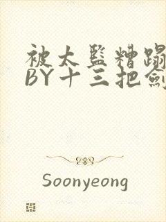 被太监糟蹋之后BY十三把剑