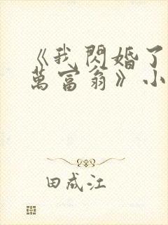 《我闪婚了个亿万富翁》小说