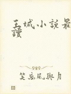 王城小说最近阅读