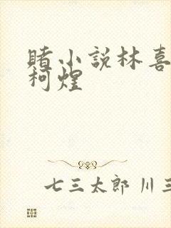 赌小说林喜朝和柯煜