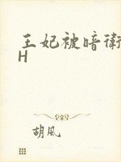 王妃被暗卫肉高H